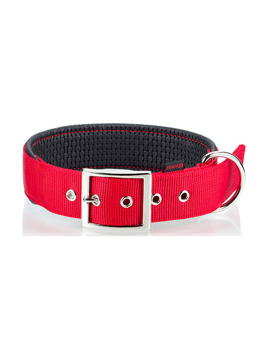 Pet Interest Neoprene Standard Dog Collar in Re...