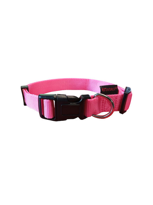 Pet Interest Plain Line Hundehalsband Intense P...