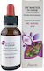 Adamah EIE Noce 30ml