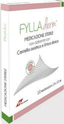 Svas Biosana Fylladerm Sterile Medizinische Gaze 10x10cm 10 Stück