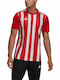 Striped 21 Men's Football Fan Jersey