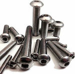 Allen Screw Inox DIN 7380 with Diameter M4 and Length 30mm