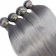 Bioshev Professional Haarteile mit Clip mit Echthaar Remy in Gray Farbe 50cm