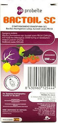 Vioryl Bactoil Υγρό Εντομοκτόνο 200ml