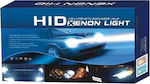 Car Xenon Kit H7 35W 12V 6000K Cold White