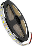 GloboStar Ταινία LED Τροφοδοσίας 24V με Ψυχρό Λευκό Φως Μήκους 5m και 60 LED ανά Μέτρο Τύπου SMD5050