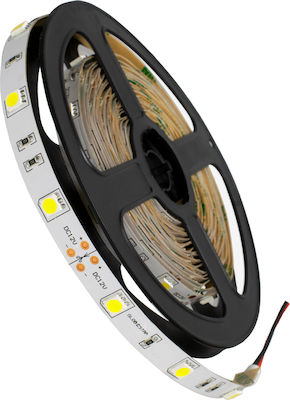 GloboStar LED Strip Power Supply 12V with Cold White Light Length 5m and 30 LEDs per Meter SMD5050