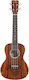 Cordoba Guitars 15CB Concert Ukulele