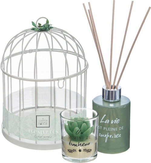 Set Diffuser mit Duft Eukalyptus 135347B 3Stück 100ml