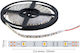 Spot Light Waterproof LED Strip 24V Cold White Light 5m Type COB