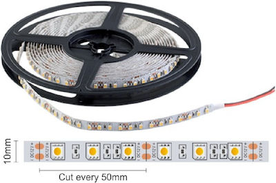 Spot Light LED Streifen Versorgung 24V mit Natürliches Weiß Licht Länge 5m und 120 LED pro Meter
