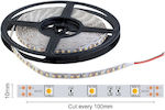 Spot Light Ταινία LED Τροφοδοσίας 24V με Ψυχρό Λευκό Φως Μήκους 5m και 60 LED ανά Μέτρο