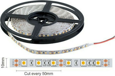 Spot Light Bandă LED Alimentare 24V cu Lumină Alb Cald Lungime 5m și 60 LED-uri pe Metru