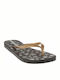 Oasis Frauen Flip Flops in Gold Farbe