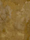 Wallpaper L1005xW53cm Brown