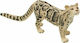 Animal Planet Leopard Nefelos Pentru 3+ Ani