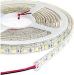 LED Streifen Versorgung 12V mit Blau Licht Länge 5m und 60 LED pro Meter
