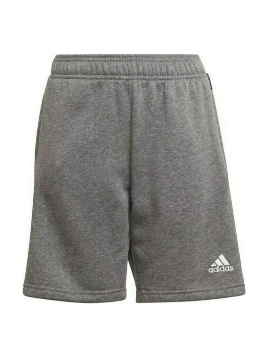 Adidas Kids Athletic Shorts/Bermuda Tiro 21 Gray