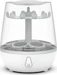 Nuvita SteriEasy Digital Electric Baby Sterilizer for Bottle NU-ALST1084