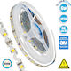 GloboStar LED Strip Power Supply 12V with Natural White Light Length 5m and 60 LEDs per Meter SMD2835