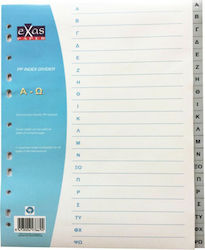 Exas Paper Plastic Divider for Documents A4 with Holes