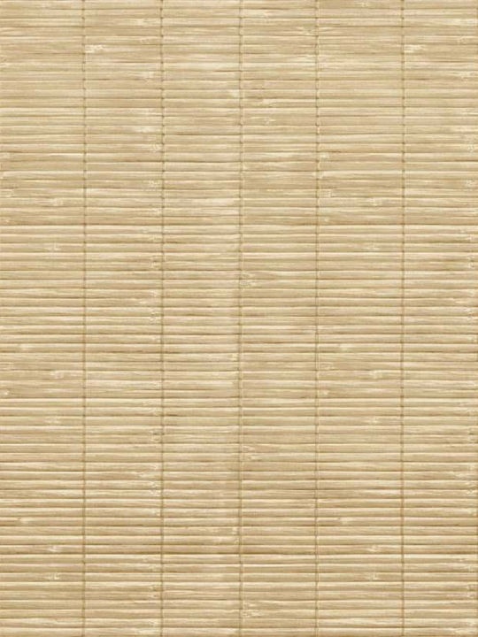 Tapete Vinyl Beige L1005xB53cm Waschbar