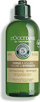 L'Occitane Aromachologie Volume & Strength Shampoos Volume for All Hair Types 300ml