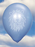 Set of 20 Balloons Latex Blue R100