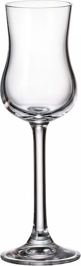 Bohemia Grappa Чаша за Ликьор / Узо На столче 85мл
