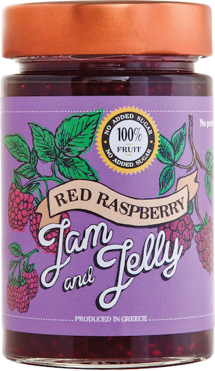 Food Surfing Jam and Jelly Red Raspberry No Sugar Added 260g
