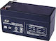 B&P DJW12-1.3 UPS Battery with Capacity 1.3Ah and Voltage 12V 1pcs