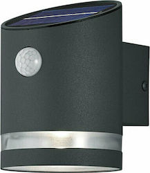 Trio Lighting Salta Wall Mounted Solar Light 3W 165lm Warm White 3000K with Photocell IP44