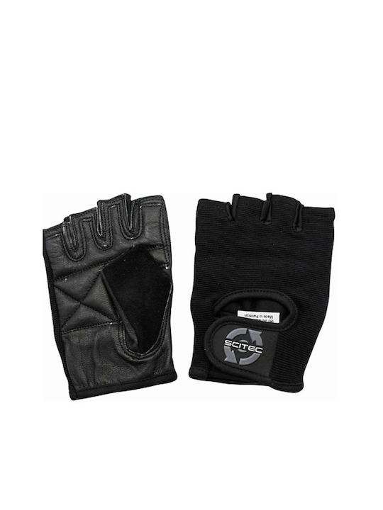 Scitec Nutrition Basic Sporthandschuhe Fitnessstudio
