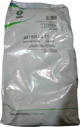 Σπόροι Παντζάρι Bettollo f1 - 10382