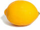 Zaros Decorative Space Lemon Real Touch 10x8x8cm 1pcs