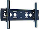 Edbak TWB2 TV Wall Mount Until 75" and 80kg