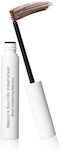 Embryolisse Brow Volumizing Eyebrow Mascara Deep Brown