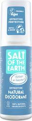 Crystal Spring Salt Of The Earth Ocean & Coconut Effective Natural Deodorant Spray 100ml