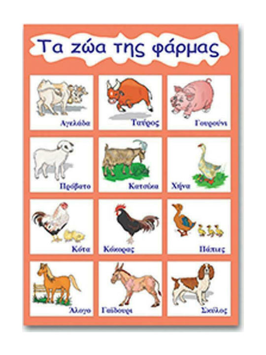 Next Εκπαιδευτική Παιδική Αφίσα Τα Ζώα Της Φάρμας 50x70εκ.