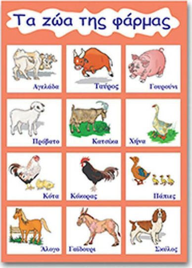 Next Bauklötze Kinderposter Die Tiere des Bauernhofs 50x70cm