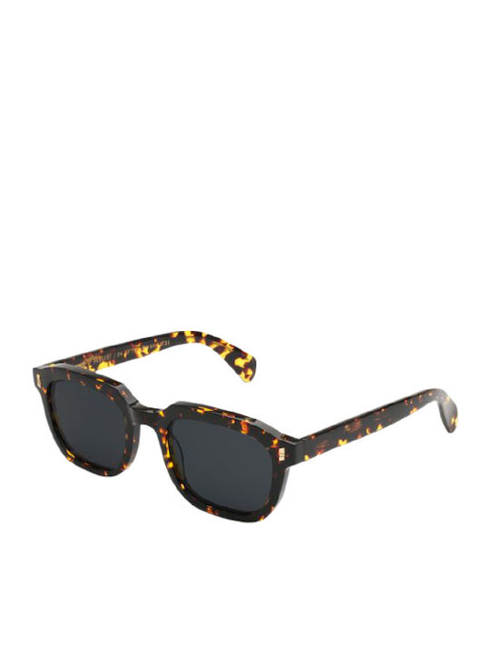 Gast Maven Sunglasses with Black Tartaruga Plastic Frame