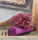 Cokitex Angel Double Bed Sheet with Rubber Band 150x200x25cm Purple
