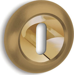 Convex 485 Rosette - Door Escutcheon Door Knobs Gold