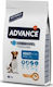 Affinity Advance Adult Mini 1.5kg Trockenfutter für erwachsene Hunde kleiner Rassen mit Huhn und Reis