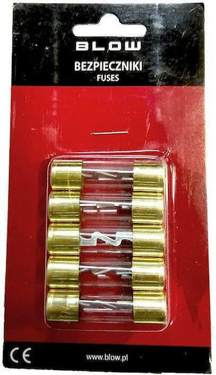 Blow Ασφάλειες αυτοκίνητου 70A 10,3 X 38mm 5τμχ