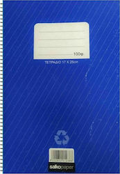 Salko Paper Spiral Notebook Ruled B5 100 Sheets Blue 1pcs