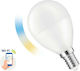 Spectrum Smart Λάμπα LED 5W για Ντουί E14 Ρυθμιζόμενο Λευκό 420lm Dimmable