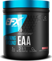 EFX Sports Training Ground EAA