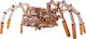 Wood Trick Wooden Construction Toy Space Spide for Children 14+ years old+ Years