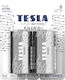 Tesla Batteries 2 Pack Alkaline Batteries D Silver+ 1.5V